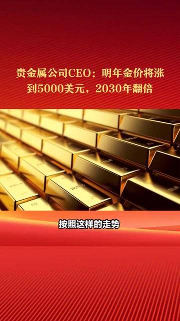 投资贵金属公司(贵金属投资公司做什么)