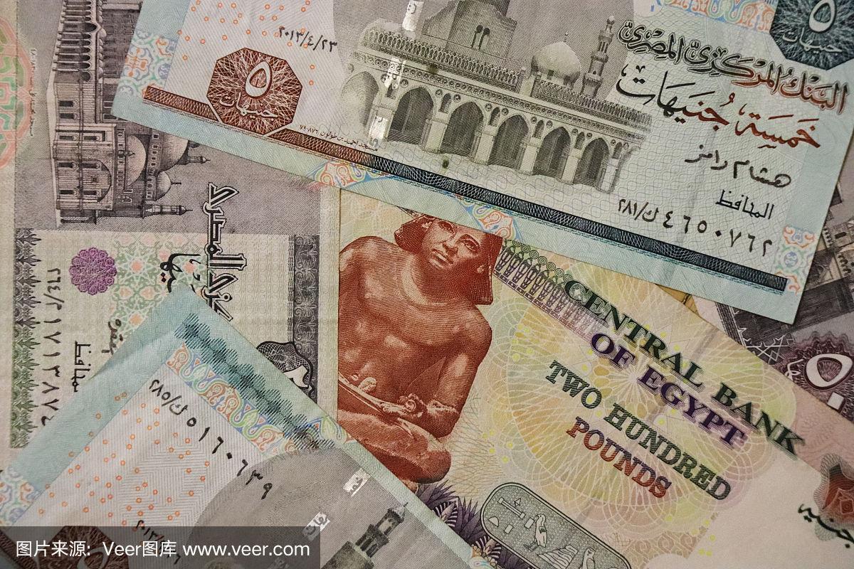 一揽子货币(一揽子货币金融政策)