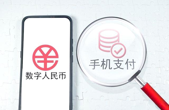 货币支付方式(货币的支付手段有哪些特点)